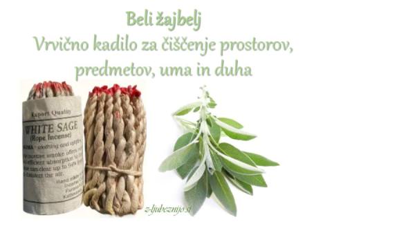 Beli žajbel - Ročno pleten beli žajbelj v vrvici 4364