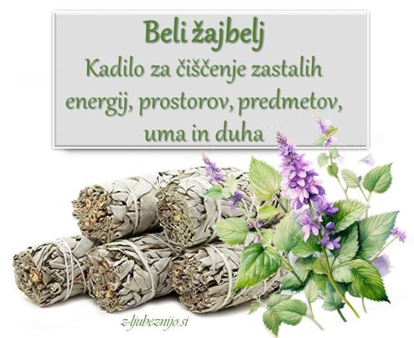 Beli žajbelj – sveto kadilo za čiščenje negativnih energij (z kristalom) 4368