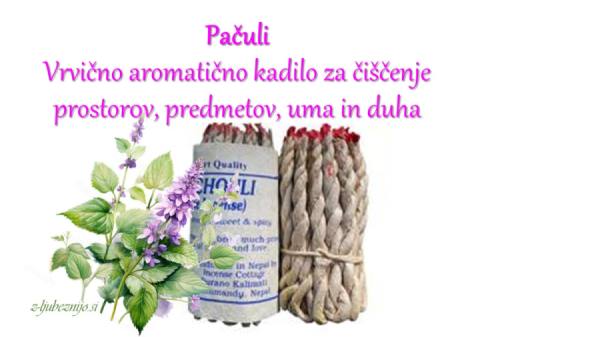 Vrvica za energijsko ravnovesje s pačulijem 4365