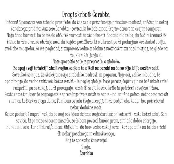 Čarobka – Sovica, ki prinaša modrost in zlato energijo 4230