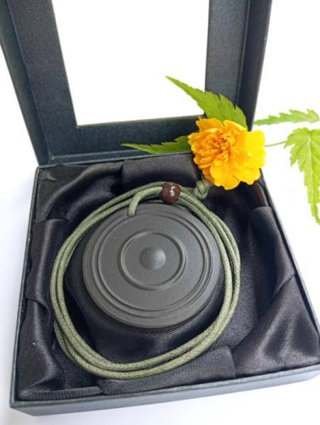 OGRLICA življenja iz Lave - vodnik skozi ovire in izzive 4652